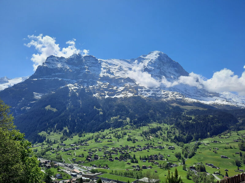 Eschengasse 21
