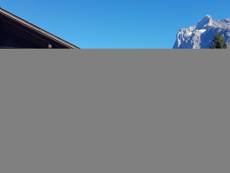 Chalet Gletscherfloh