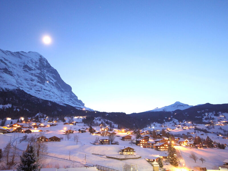 Chalet Gletscherfloh