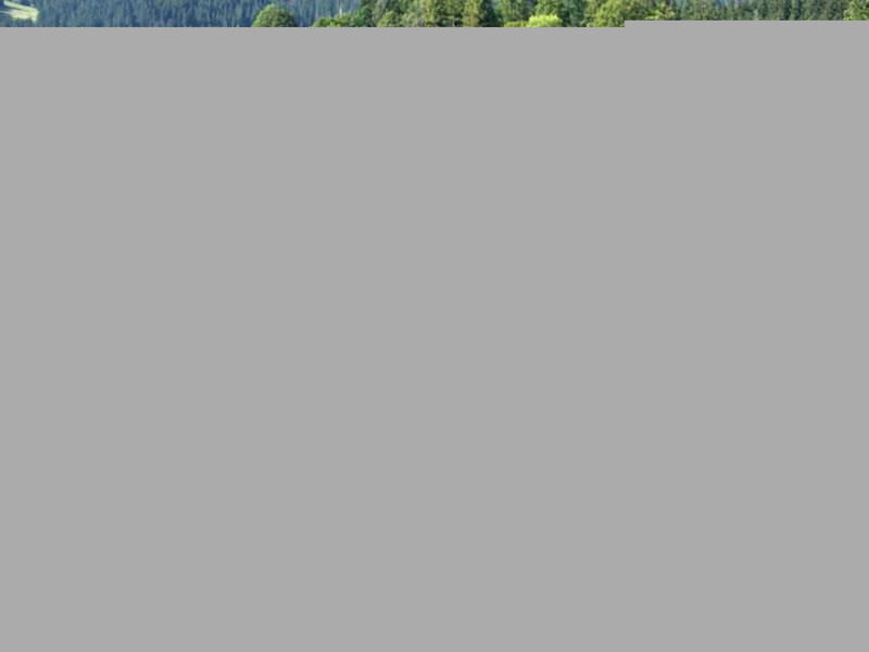 Chalet Bärgbächli