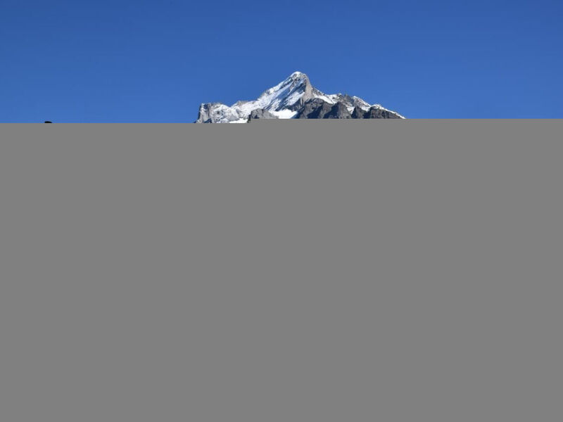 Chalet Cervin