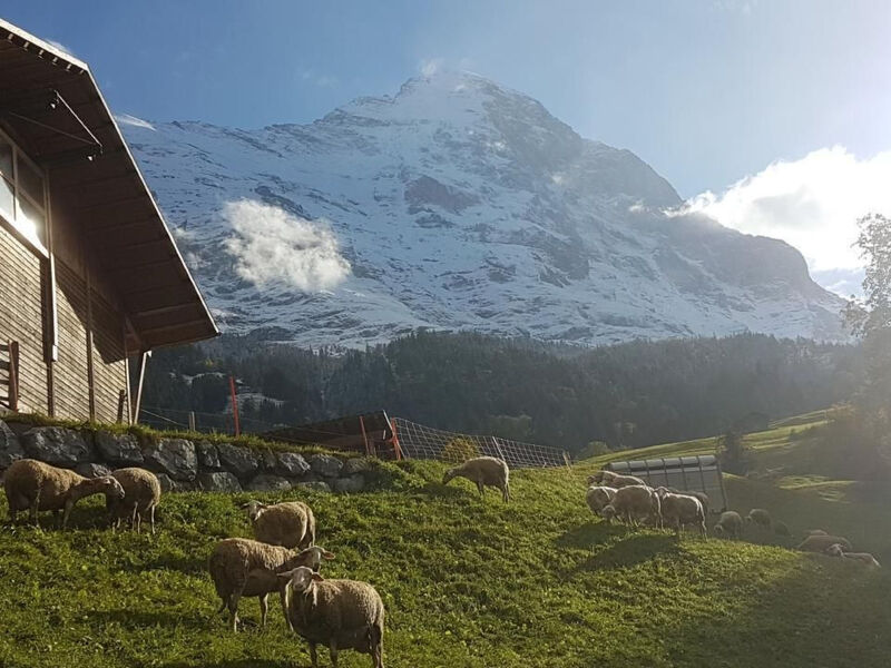 bei der Arve 4 Bett Wohnung