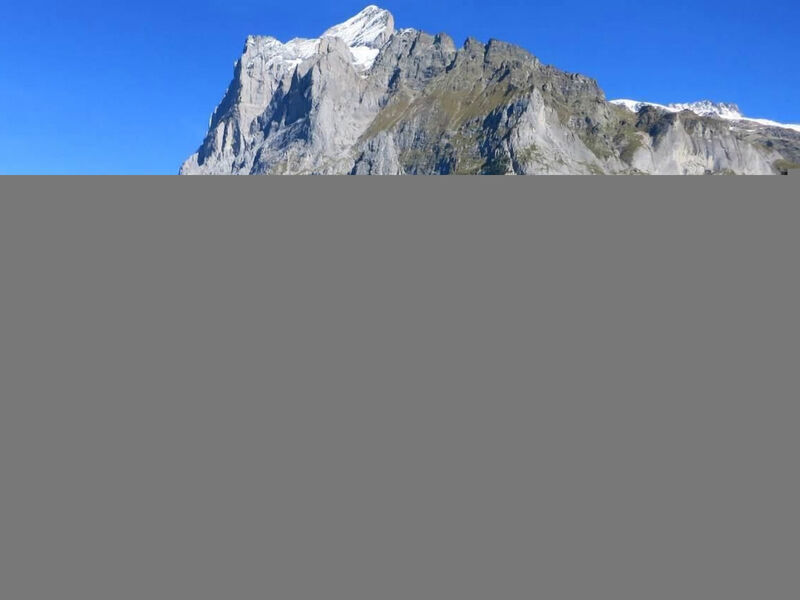Chalet Mislin, Grindelwald direkte Bergsicht