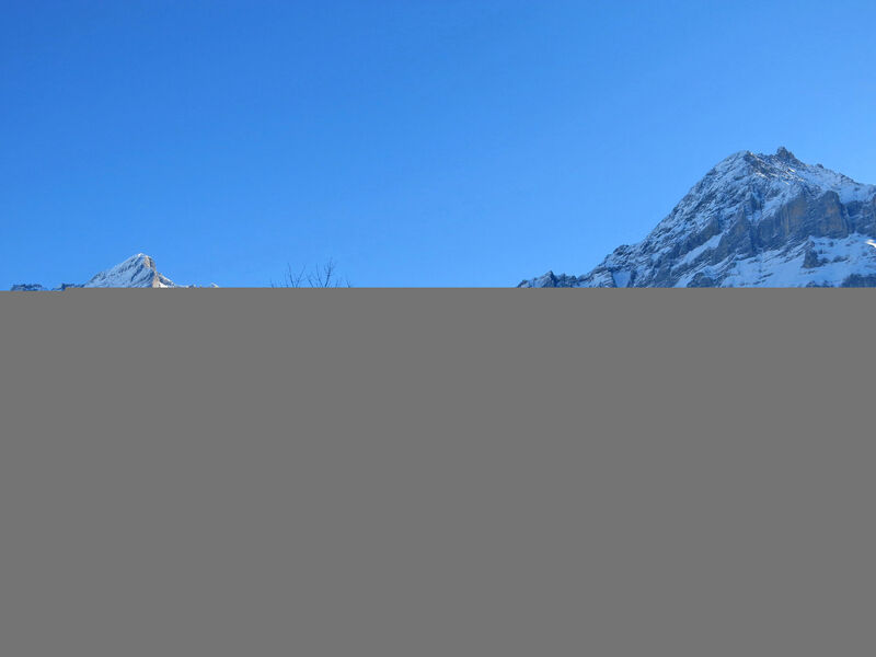 Chalet Desirée
