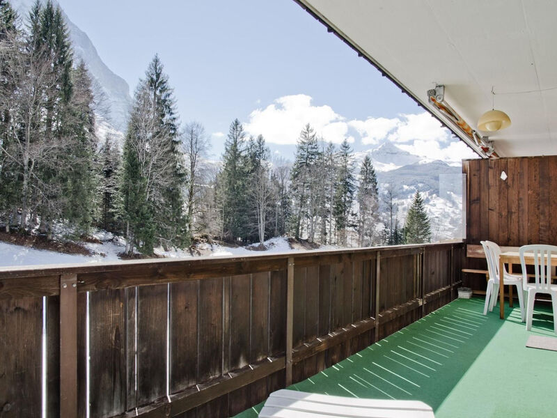 Apartmán Grindelwaldgletscher