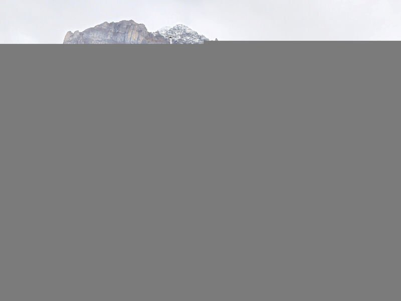 Chalet Wieseli