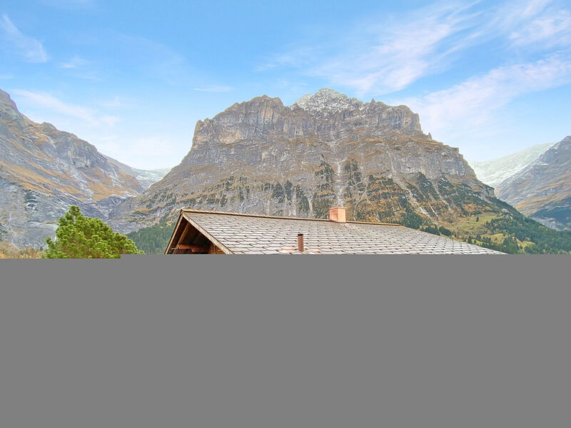 Chalet Wieseli