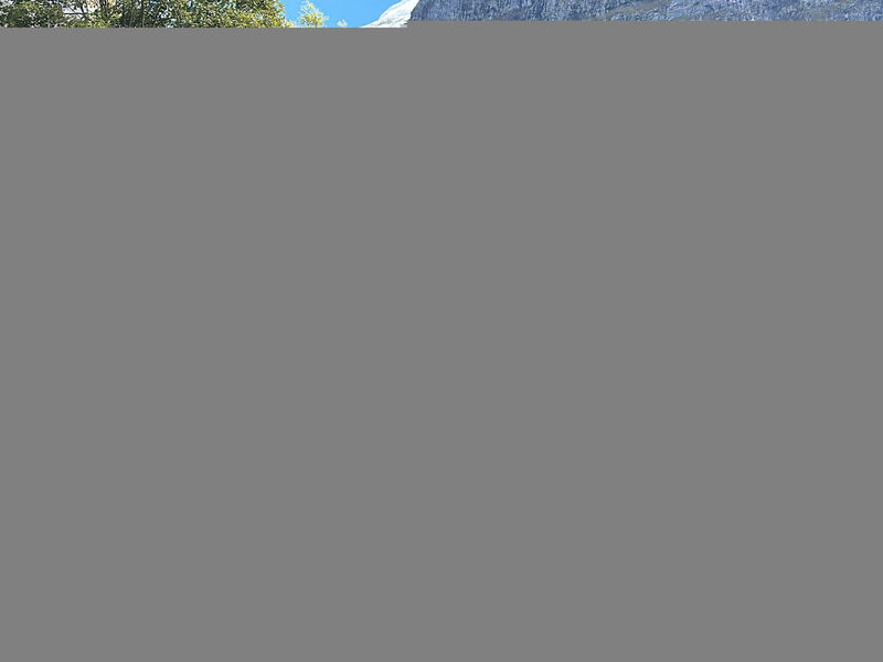 Chalet Wieseli