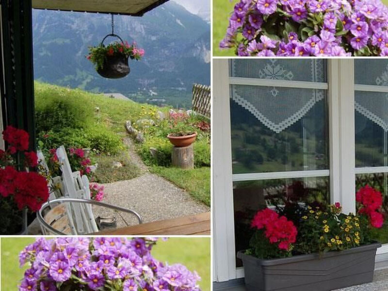 Chalet Burgstein