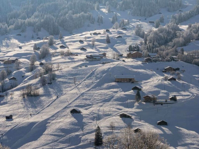 Chalet Burgstein
