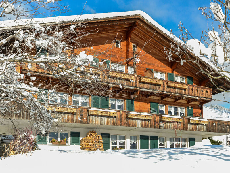 Chalet Burgstein