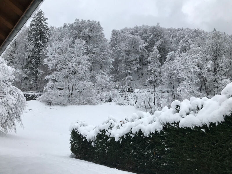 Chalet Tripfi