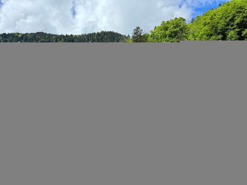 Chalet Tripfi
