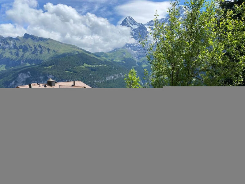 Panorama 2 Bett Wohnung
