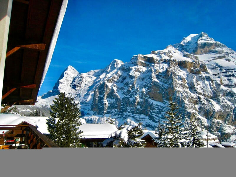 Panorama Luxury