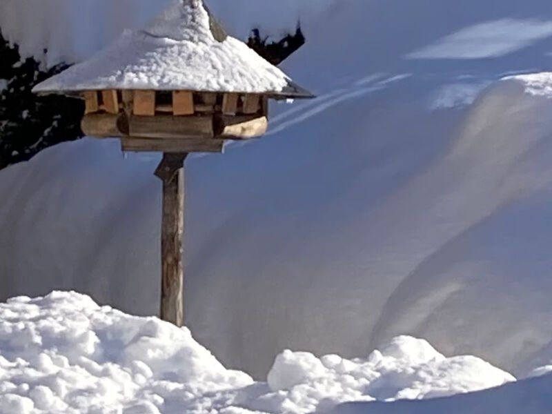 Chalet Sunnsyta;