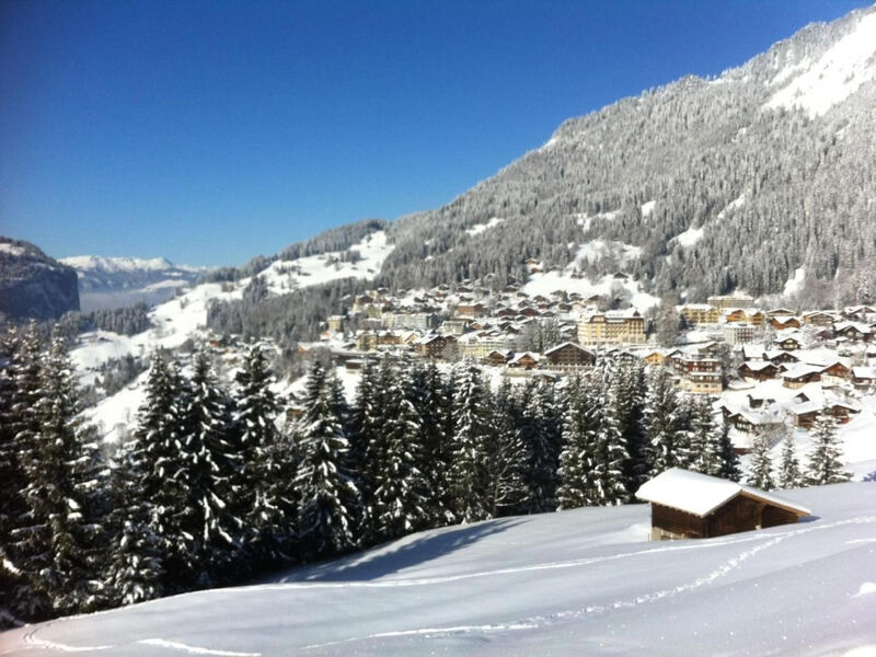 Chalet Birkli