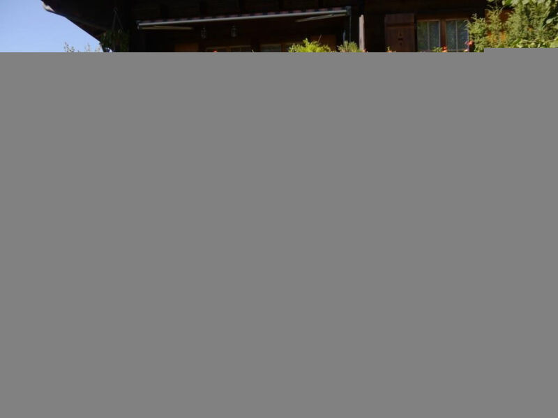 Chalet Birkli