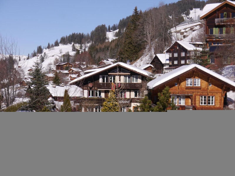Chalet Birkli