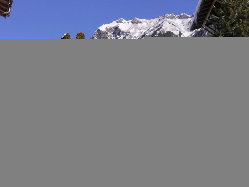 Chalet Birkli