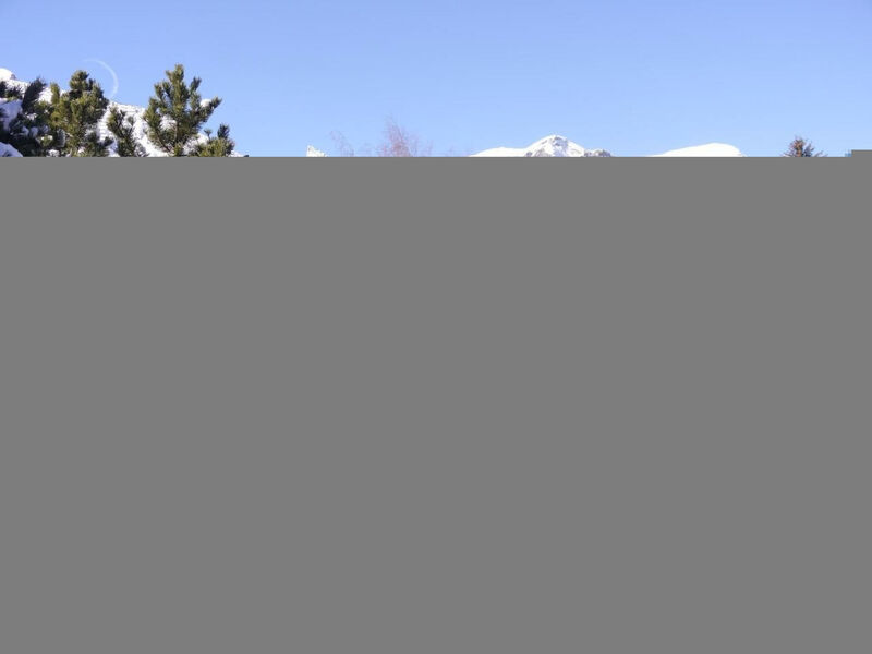 Chalet Birkli