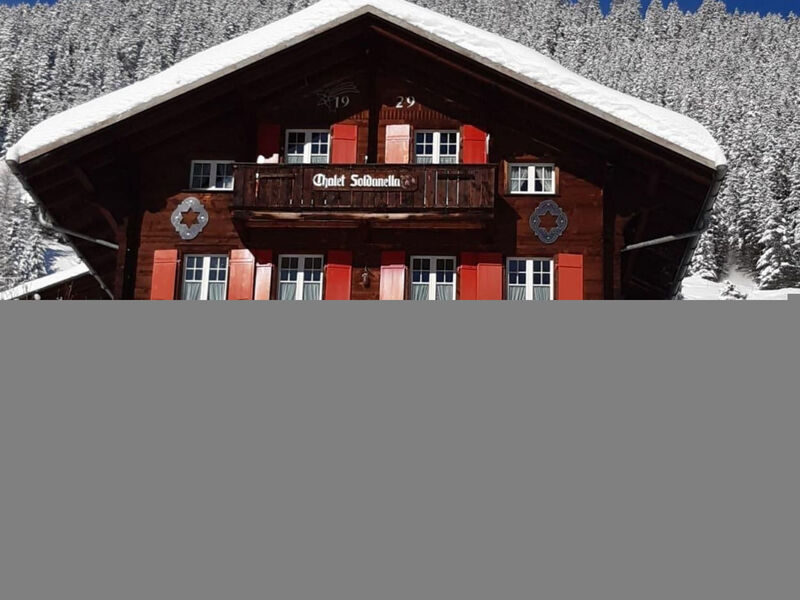 Chalet Soldanella