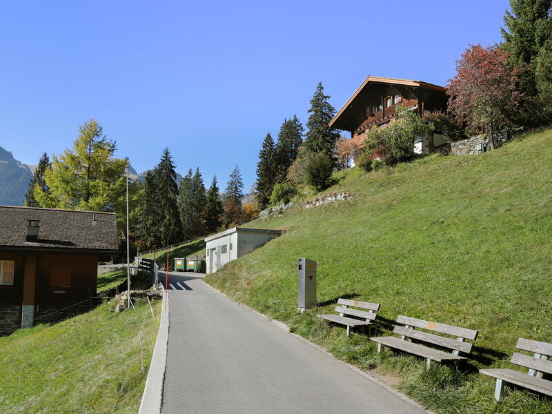 Jungfrau An Der Ledi