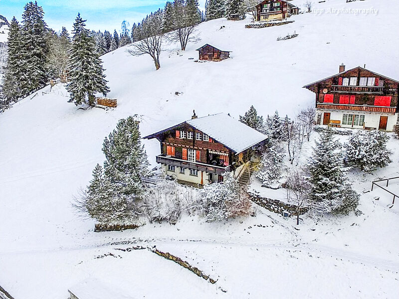 Jungfrau An Der Ledi