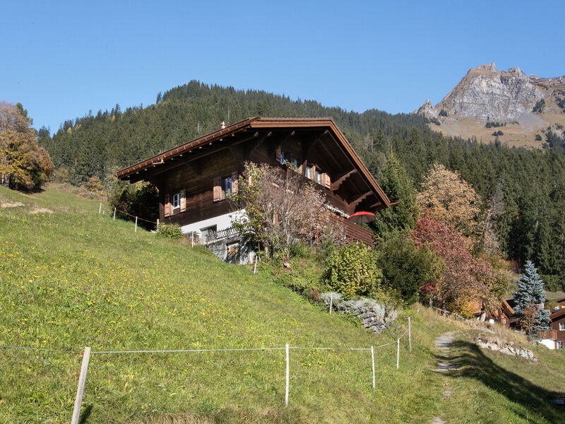 Jungfrau An Der Ledi