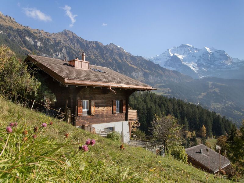 Jungfrau An Der Ledi
