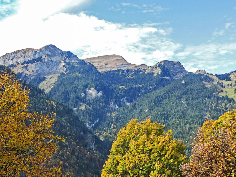 Panorama