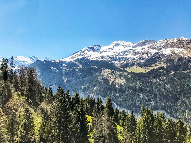 Racer’S Retreat