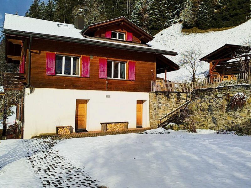Chalet Sonnenhof