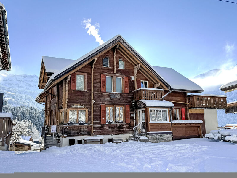 Chalet Graf Apt 1