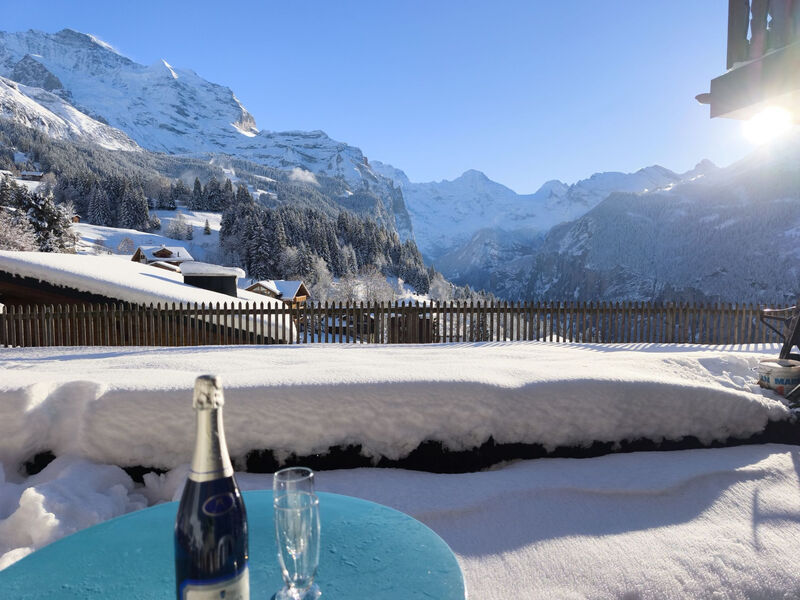 Chalet Graf Apt 1