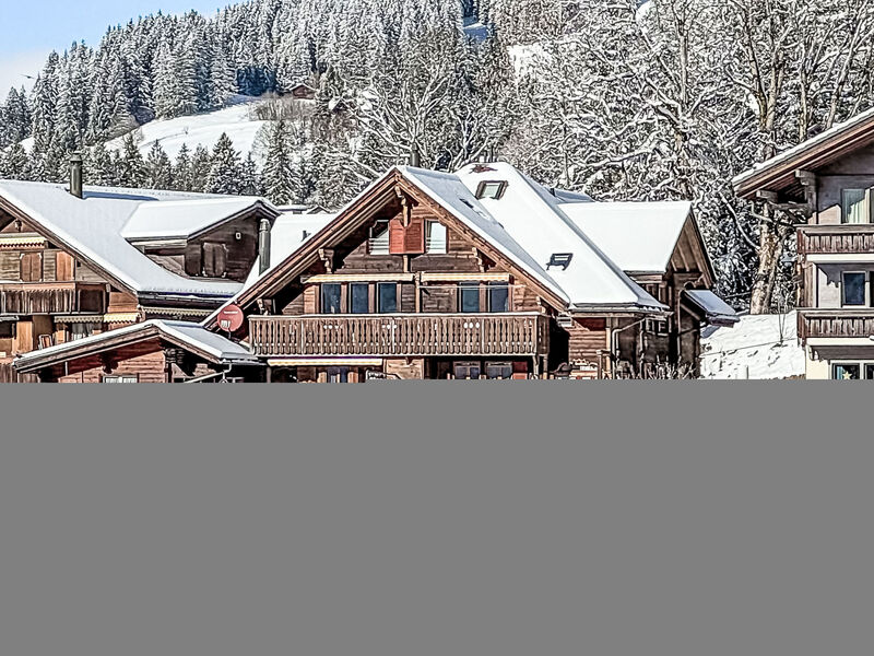 Chalet Graf Apt 1