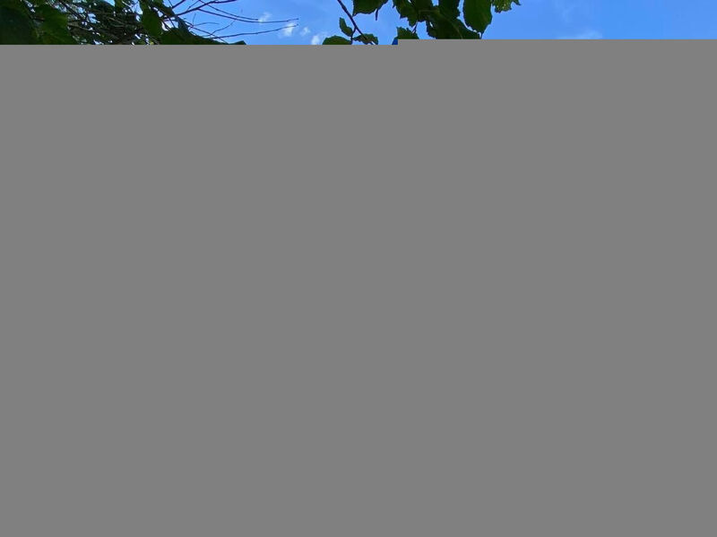 Chalet Specht