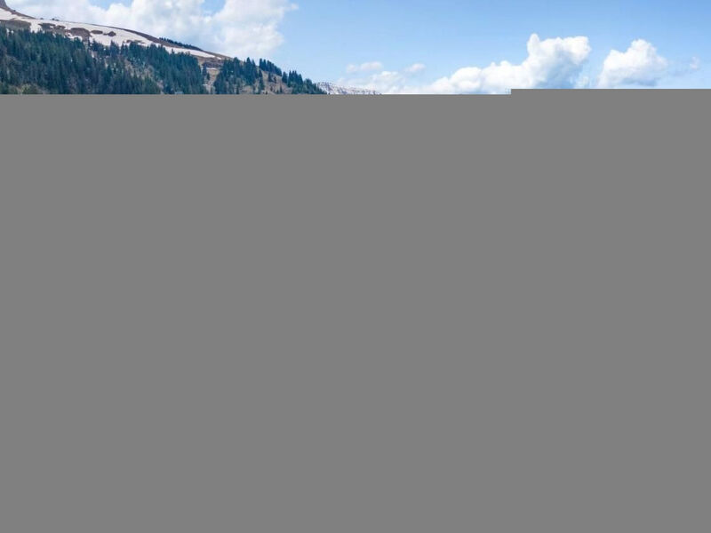 Chalet Specht