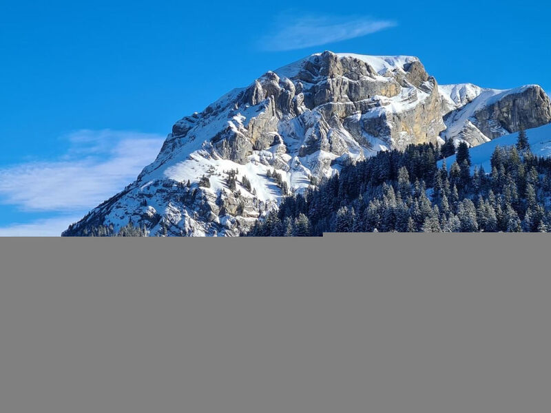 Chalet Specht