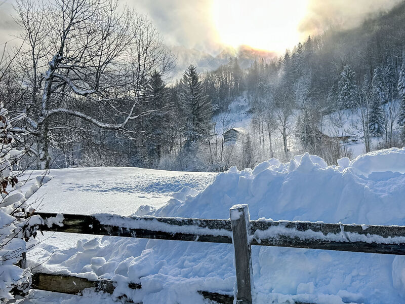 Chalet Solegg