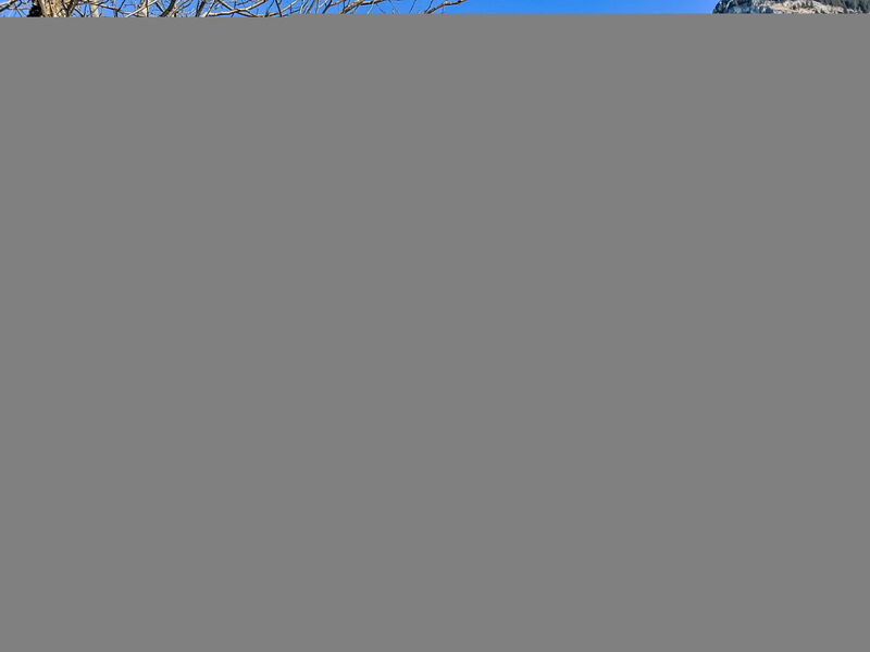 Chalet Solegg
