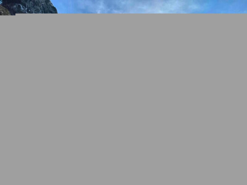 Alpine Home Streich