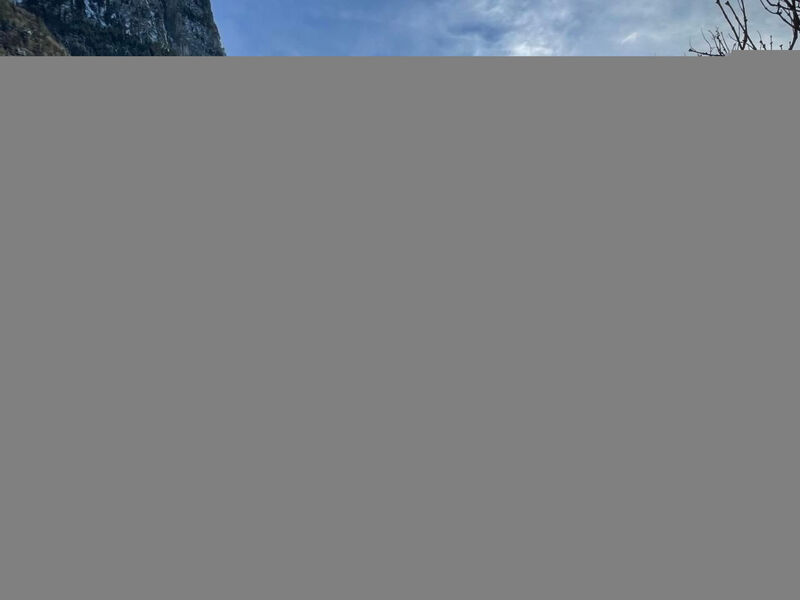 Alpine Home Streich