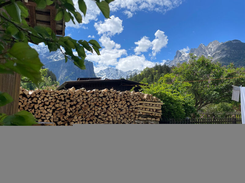 Alpine Home Streich