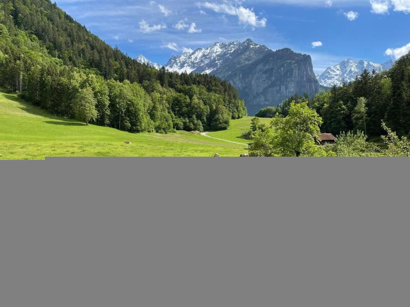 Alpine Home Streich