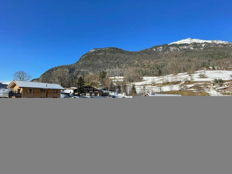 Alpine Home Streich