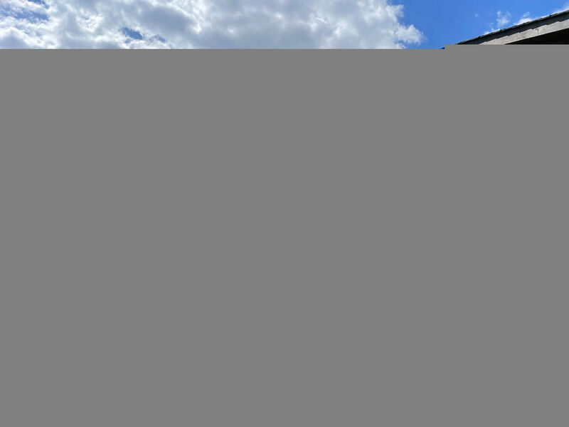 Alpine Home Streich