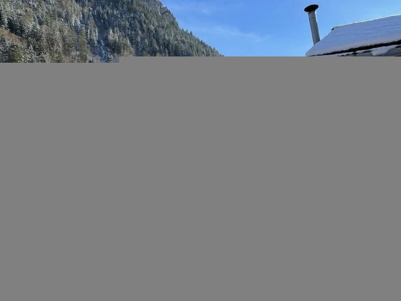 Alpine Home Streich