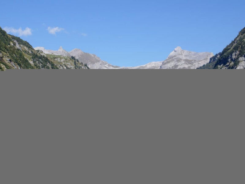 Alphütte Gental - Haslital