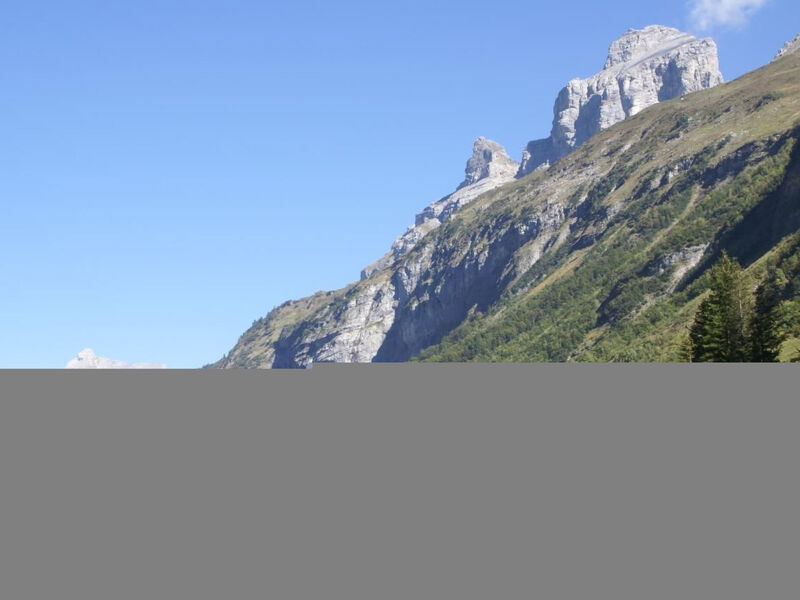 Alphütte Gental - Haslital
